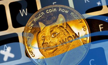DOGE TO THE MOON!